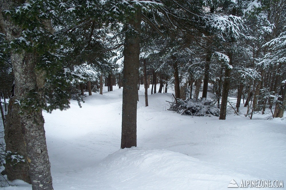 102_2235