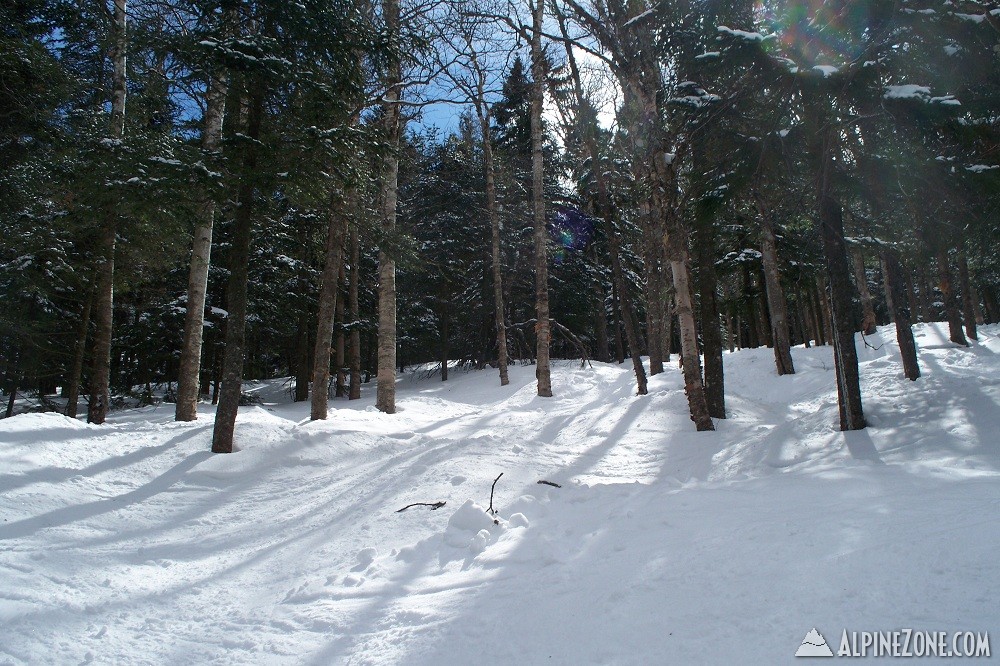 102_2241