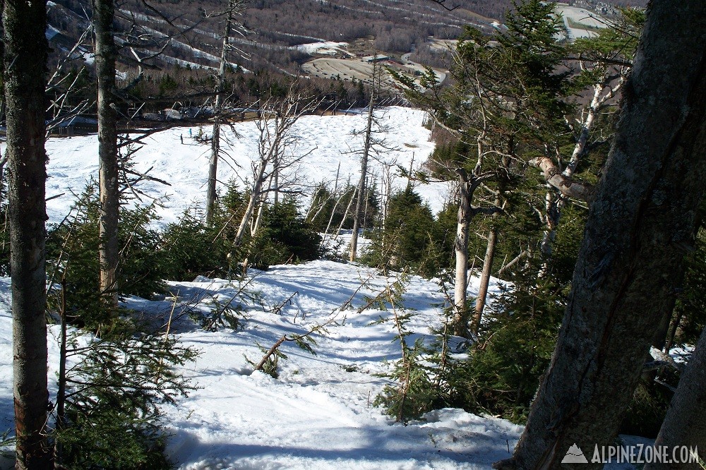 102_2450