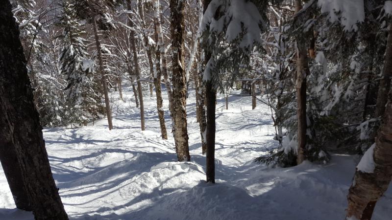 20190324_103731.jpg
