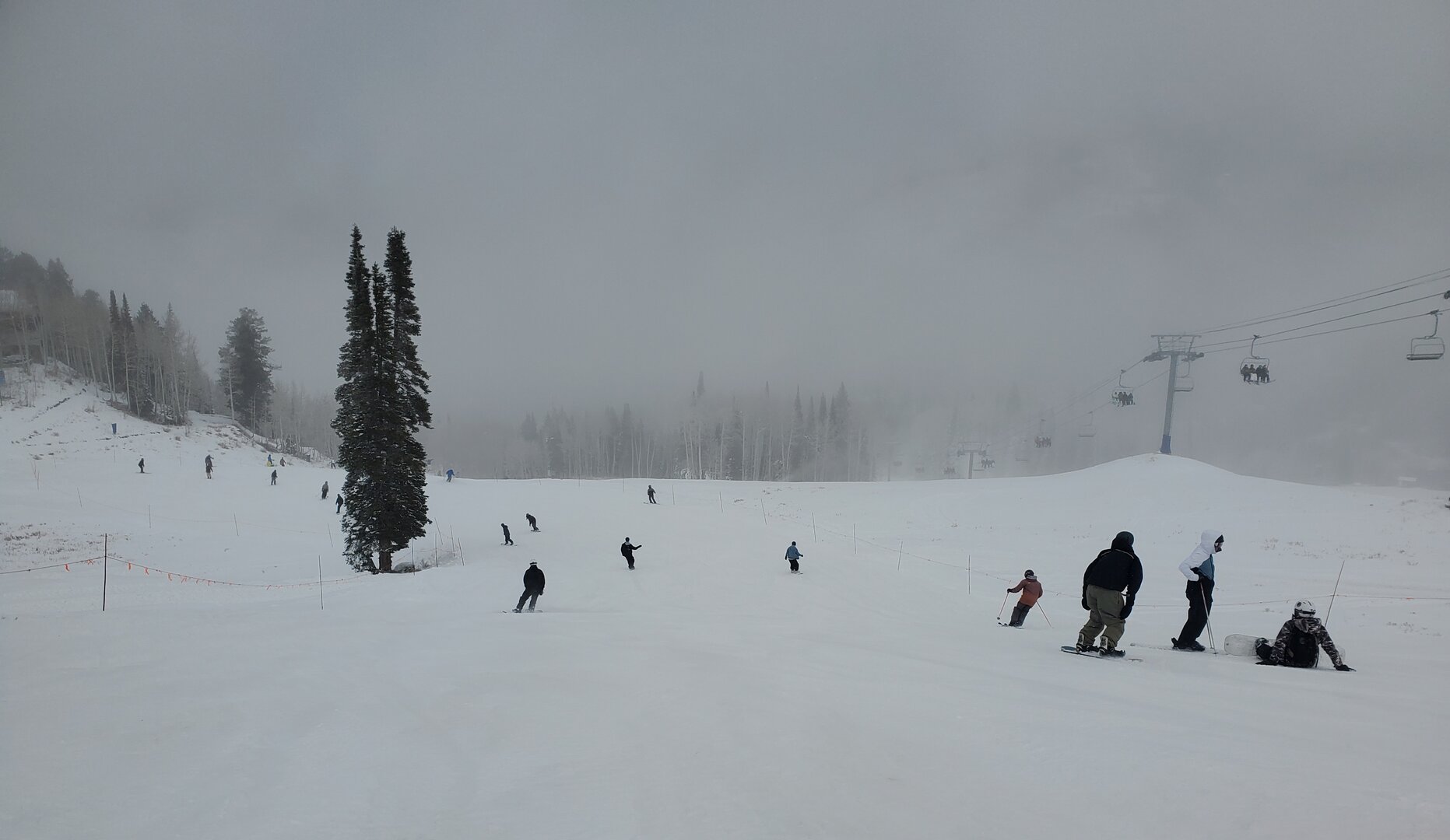 5 dec 2025 solitude wrod.jpg