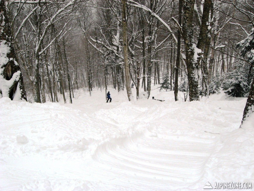 A Little Thing We Call Throbulator...