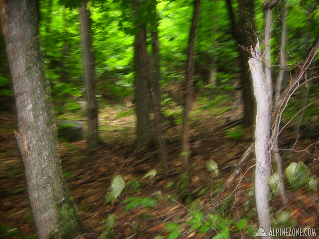 adk_030