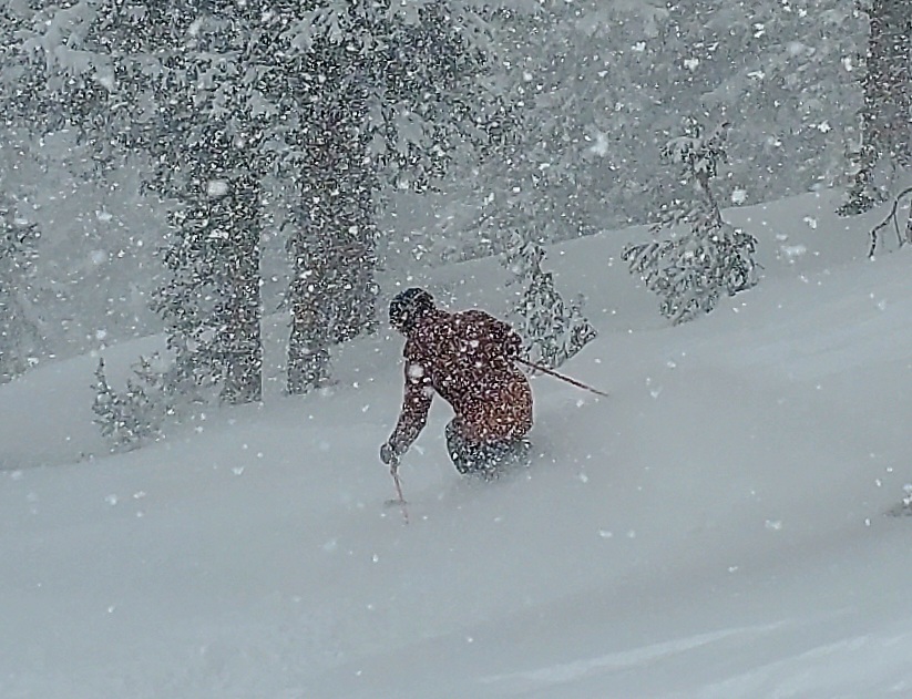 al pow 1 apr 2025 alta.jpg