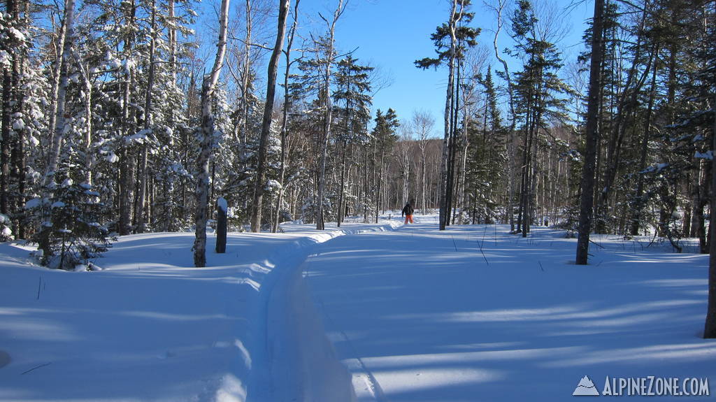 AlpineZone Summit 4.0 at Sugarloaf Feb 8 - 10th