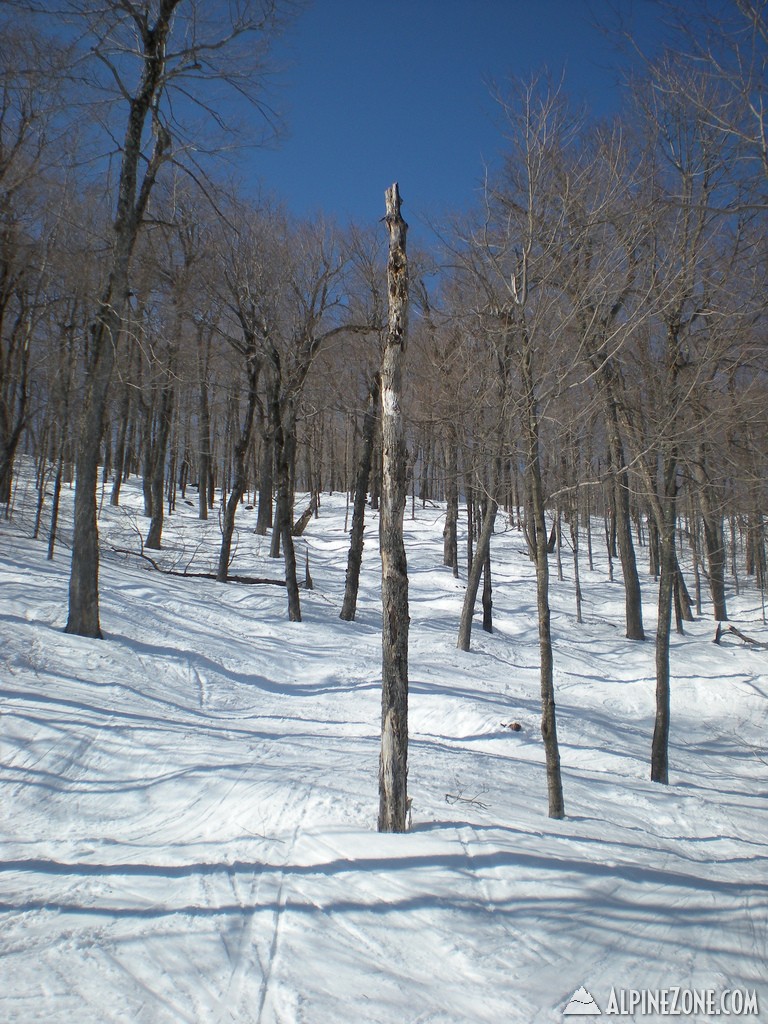 avalanche_glade