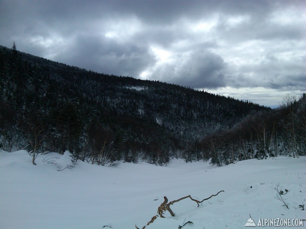 Avy debris below Ammonoosuc Ravine