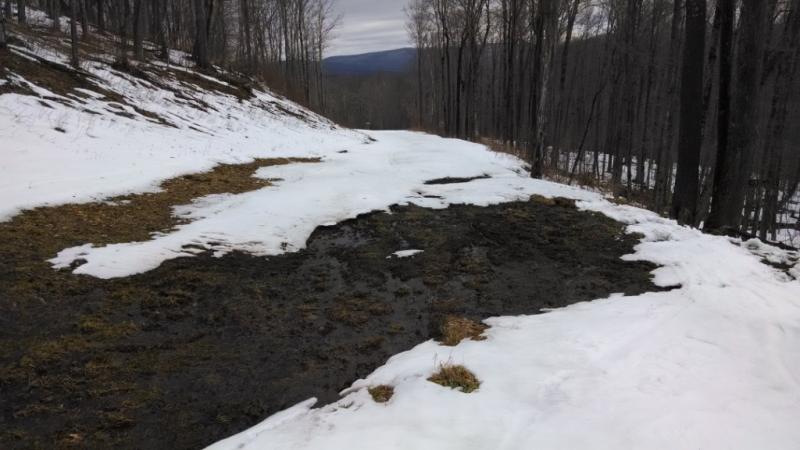 Belleayre Cathredral Brook Washout 4514.jpg