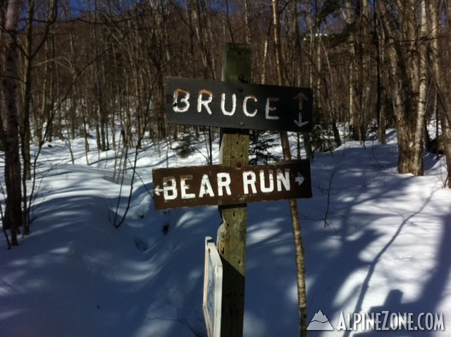 bruce11