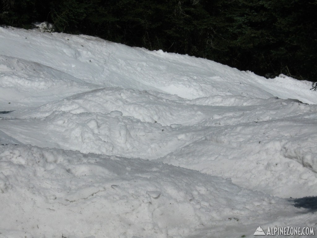 Bumps on Catwalk