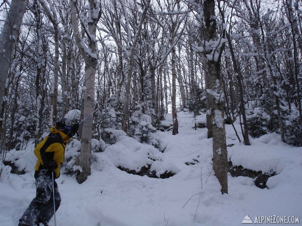 Burke powder