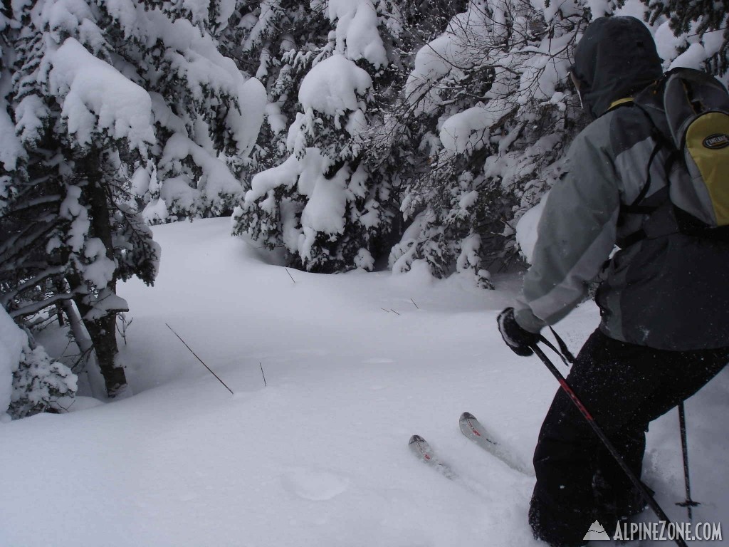 Burke powder