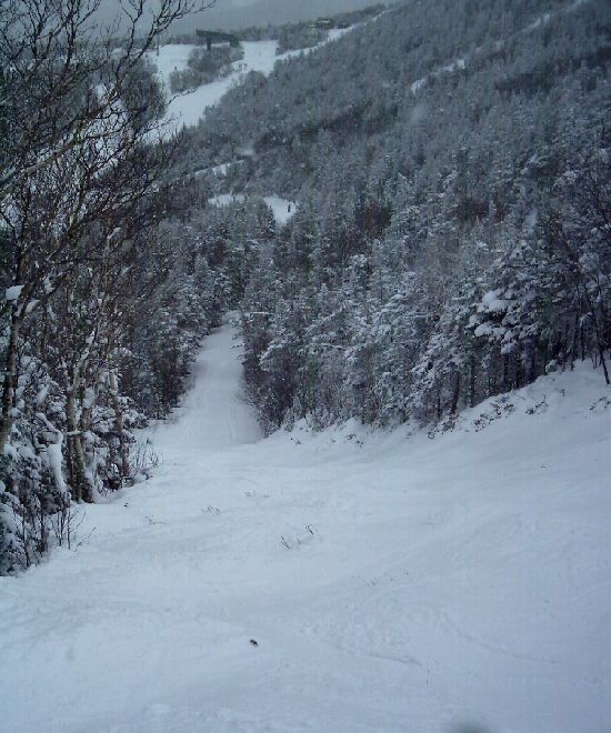 Cannon Mountain