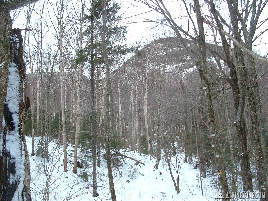 Cliffs from lower Osceola Trail