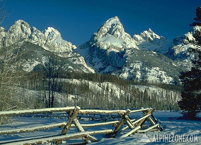 cottnCrkteton