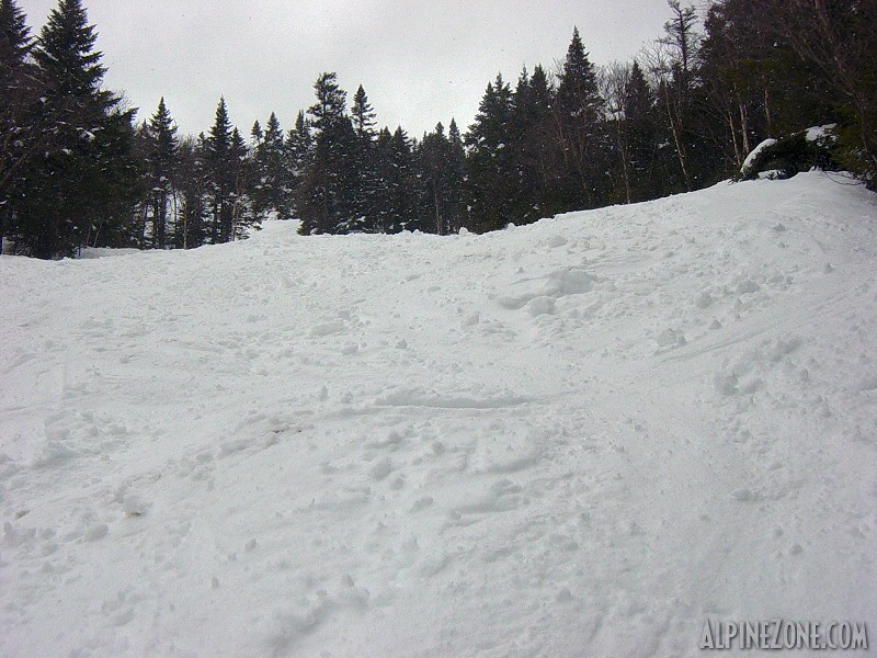 Dense crud on Castlerock Run