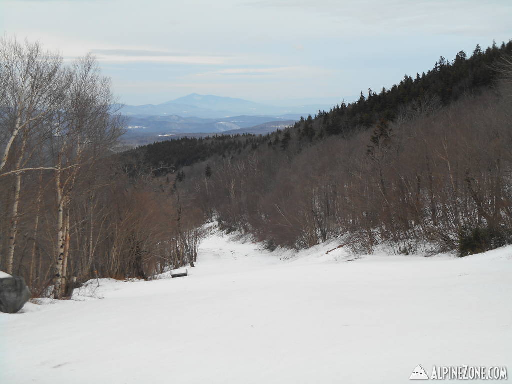 DSCN0405
