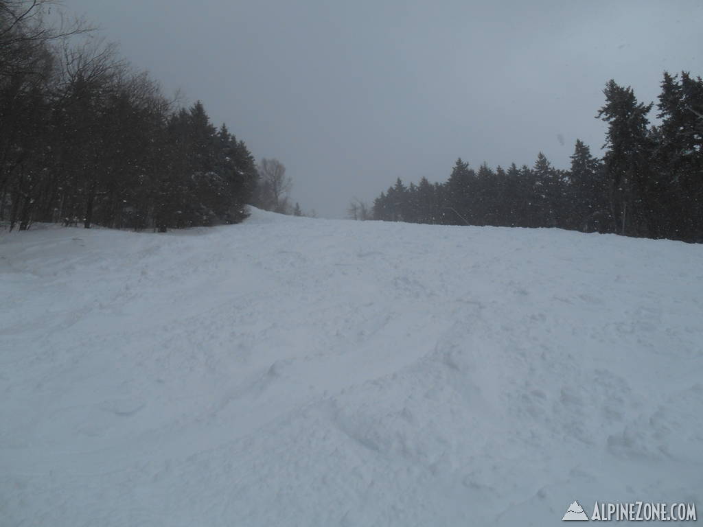 DSCN0527