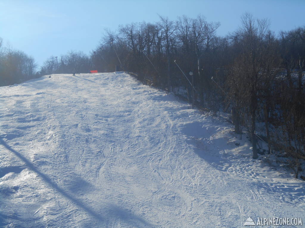 DSCN0938