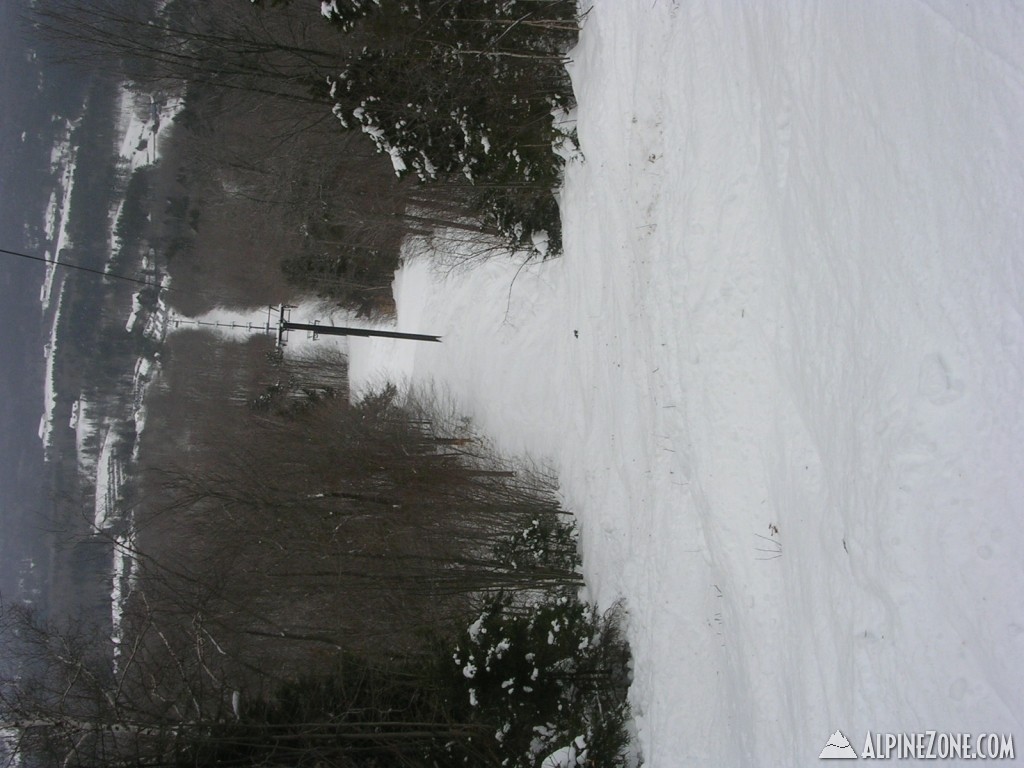 DSCN3493