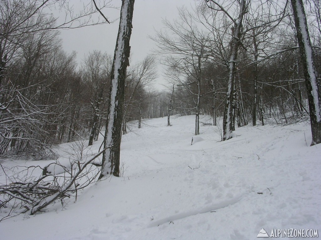 dscn3667