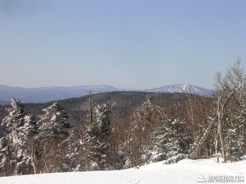 DSCN3701