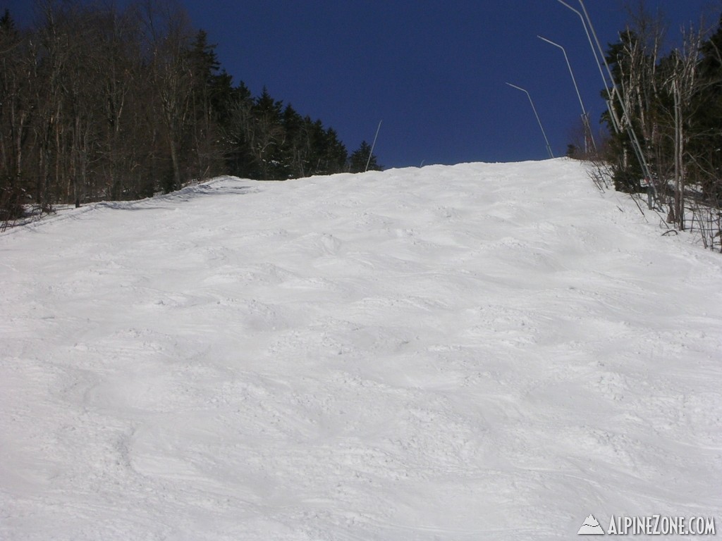 DSCN3721