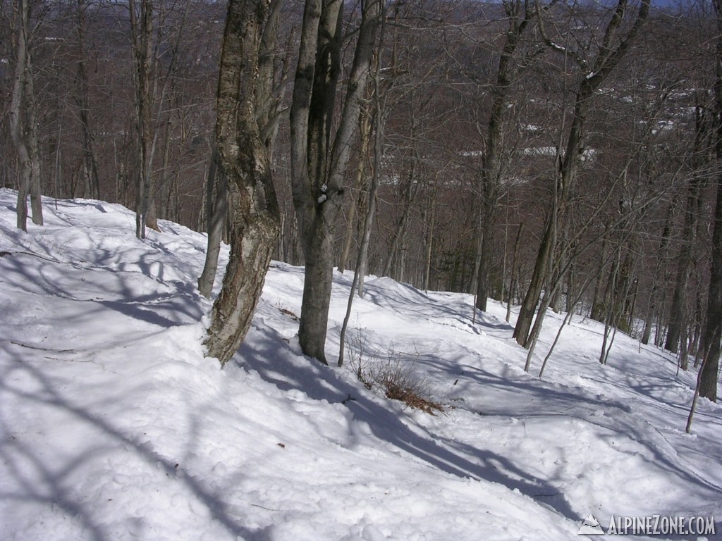 DSCN3730