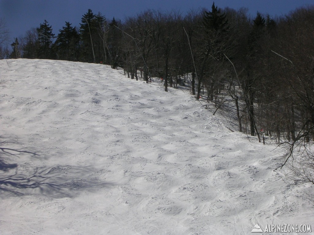 DSCN3734