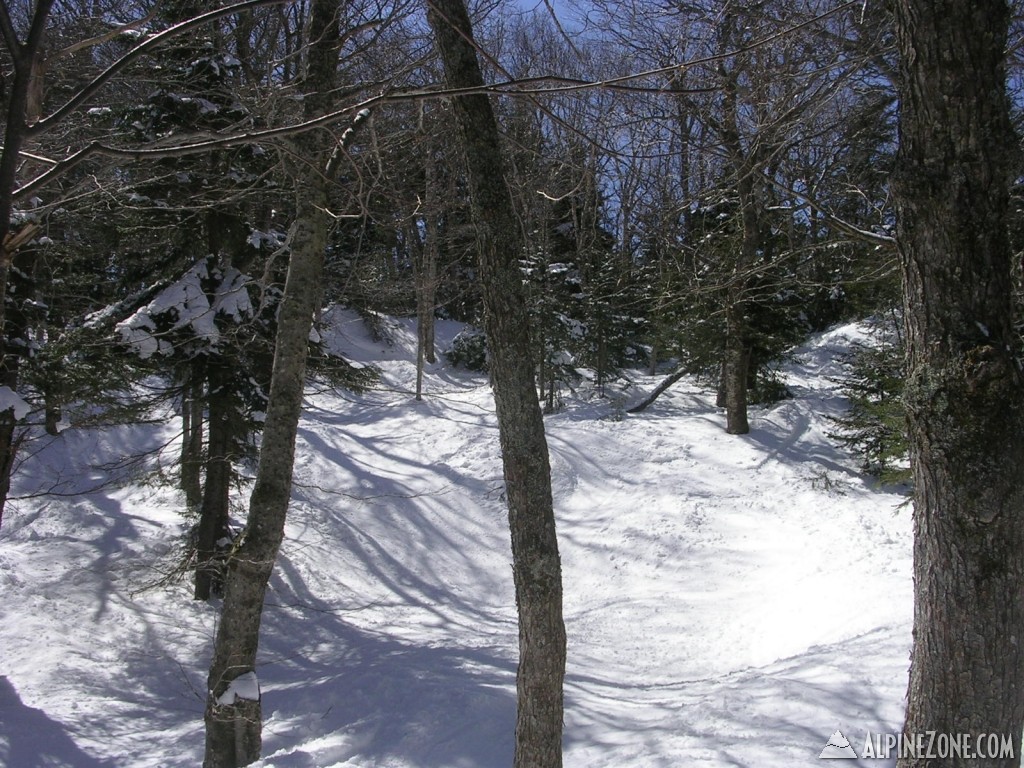DSCN3736