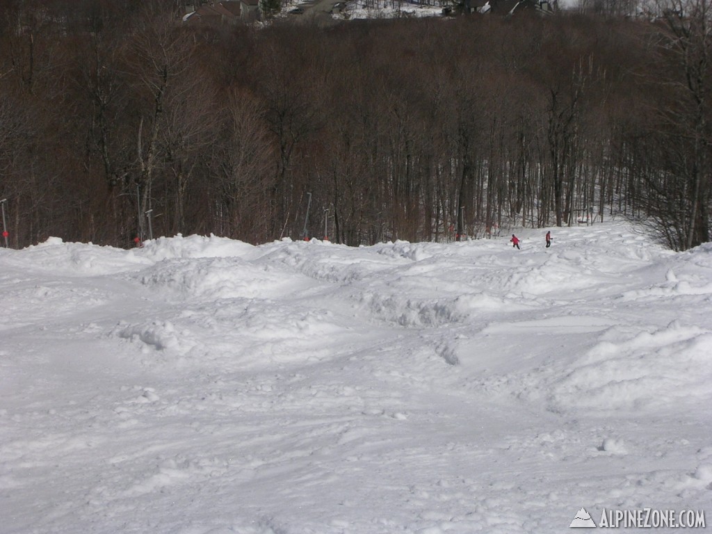 DSCN3740