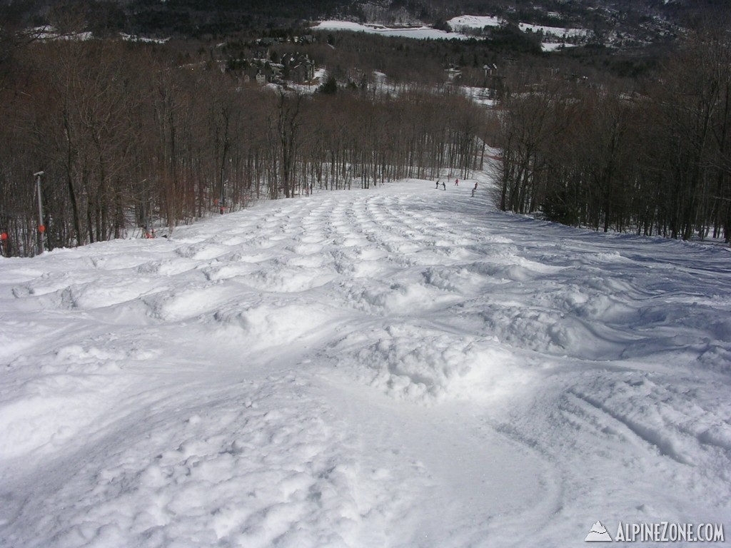 DSCN37421