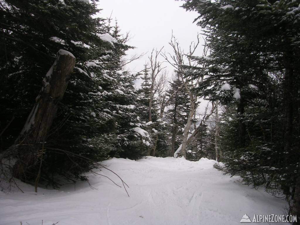DSCN4195