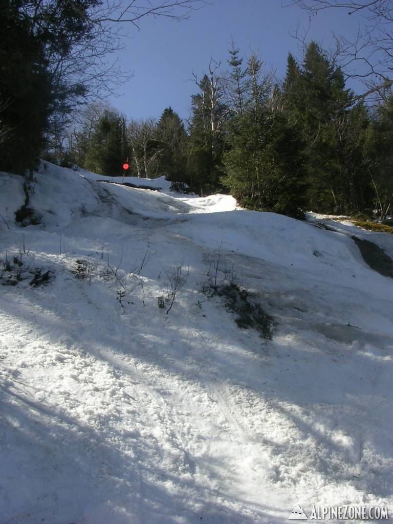DSCN4335