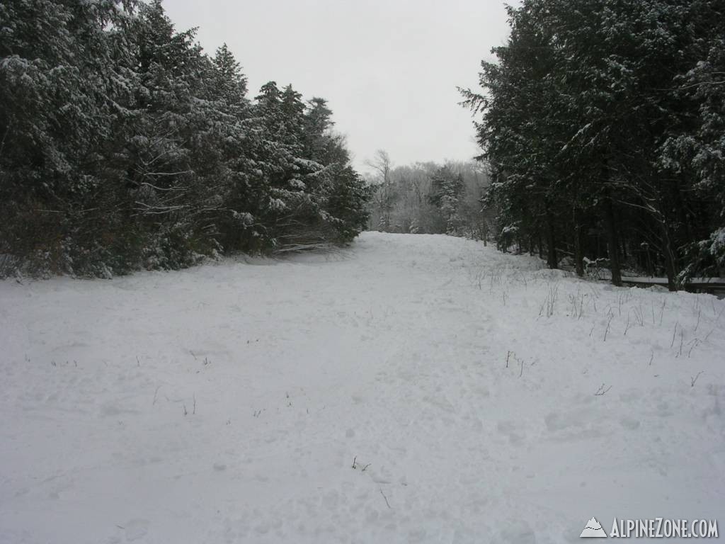 DSCN4634