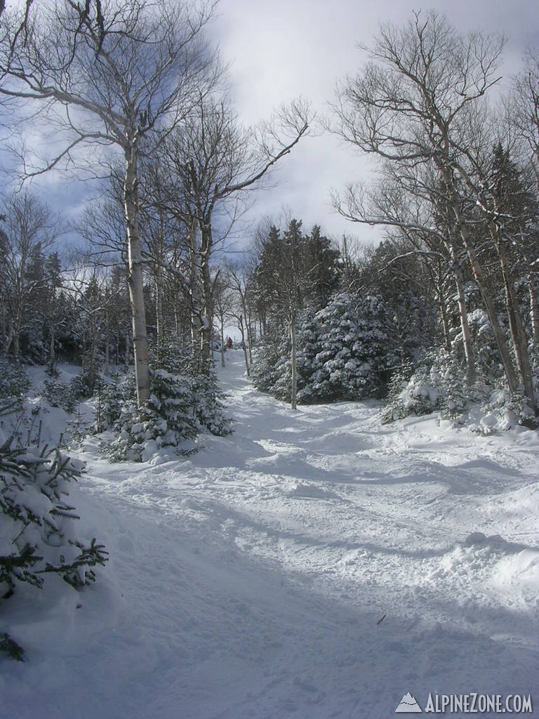 DSCN4786