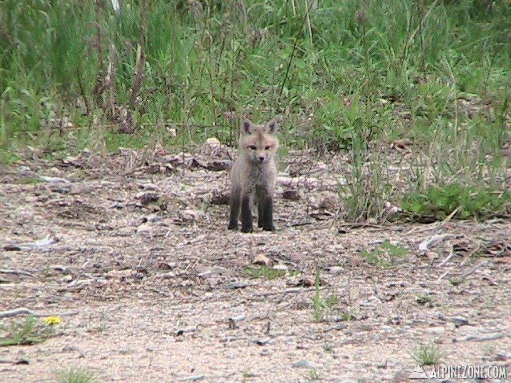 Fox5-12-9_002