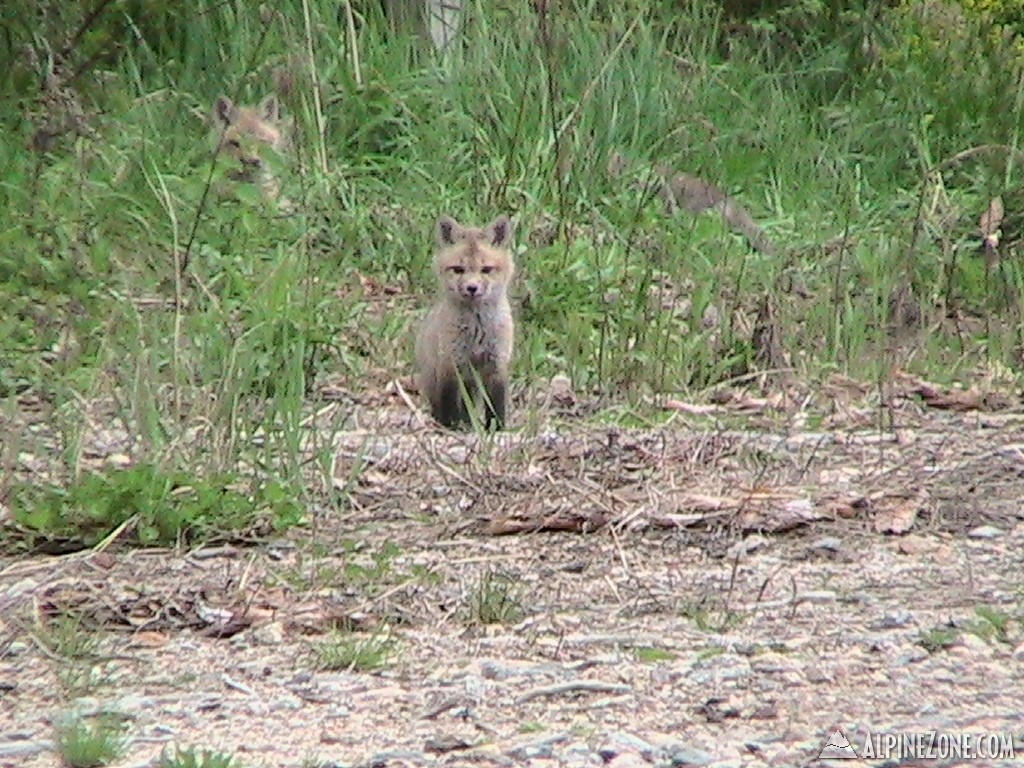 Fox5-12-9_006