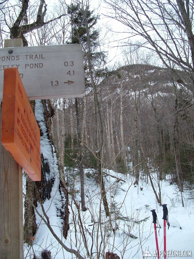 Greely Pond Trail and Osceola Trail Junction