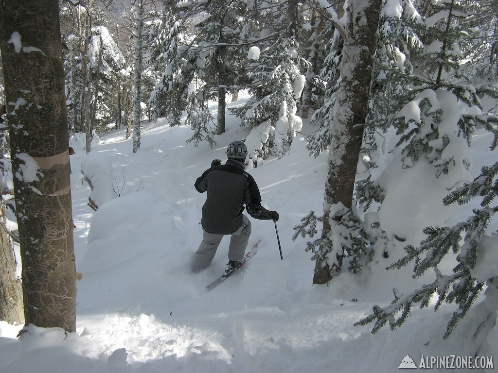 Greg in glade near Chute