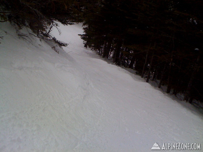 Gulf of Slides - 3/12/10