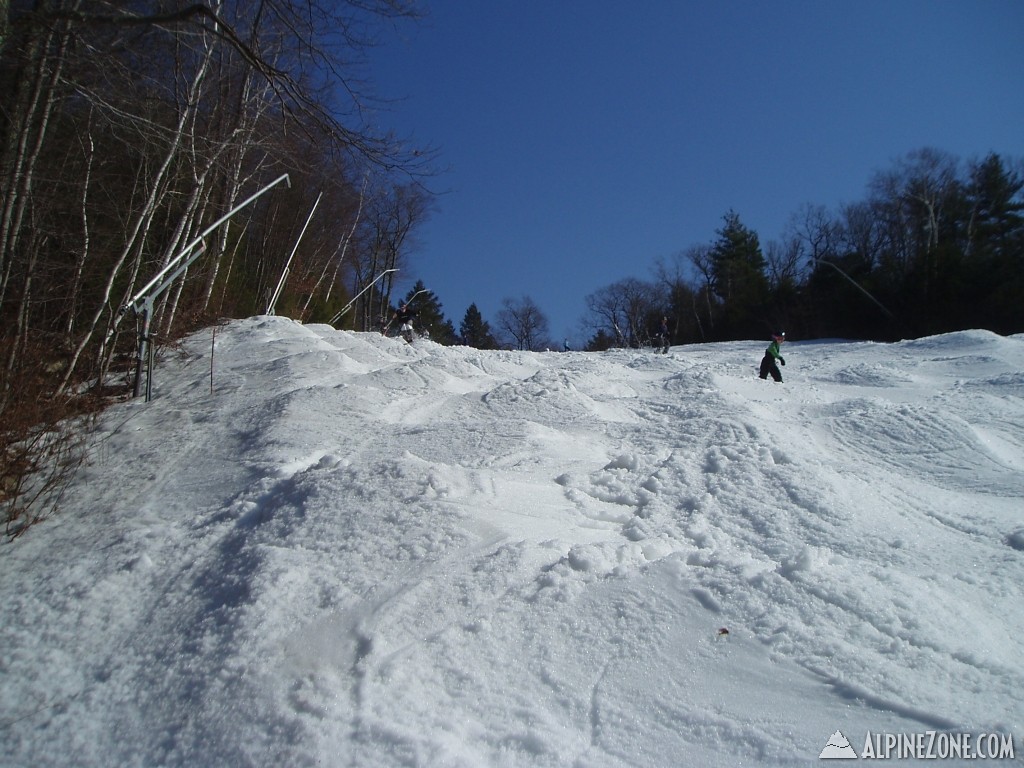 Gunny spring bumps