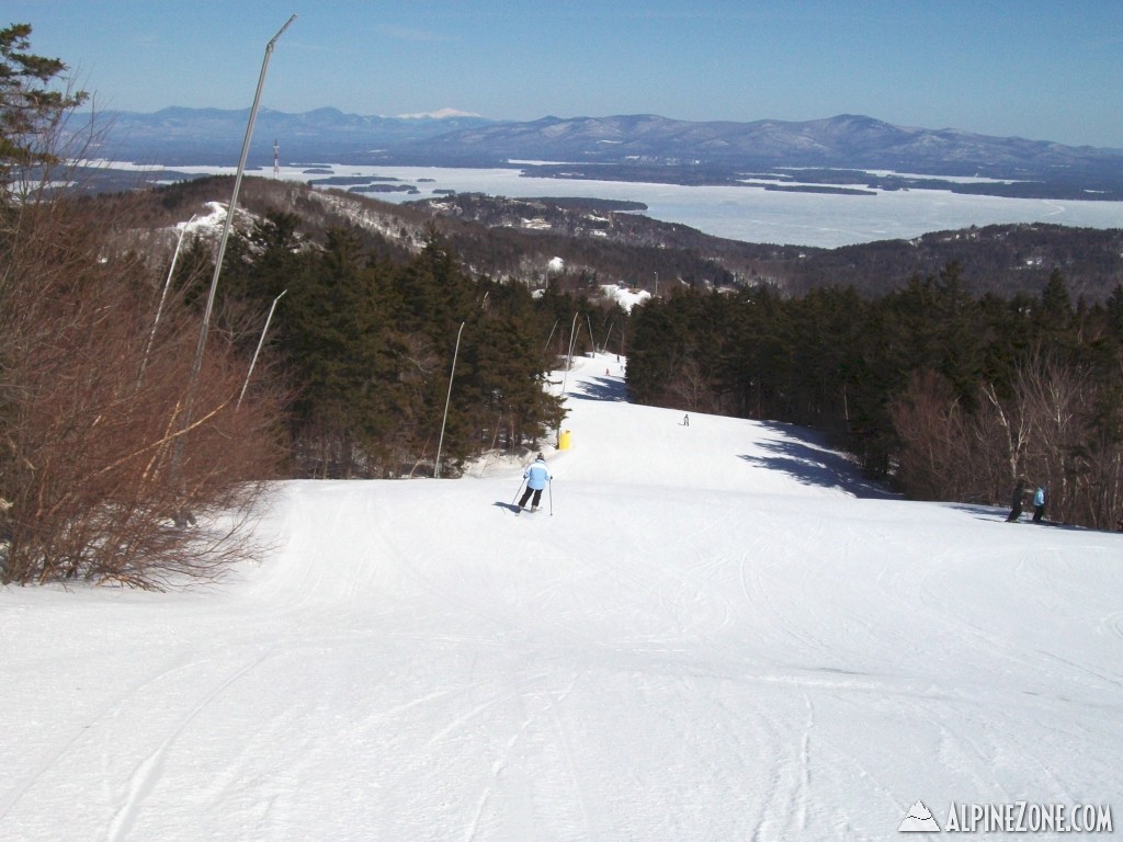 Gunstock