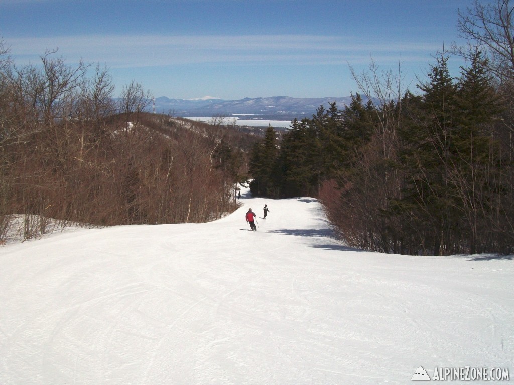 Gunstock