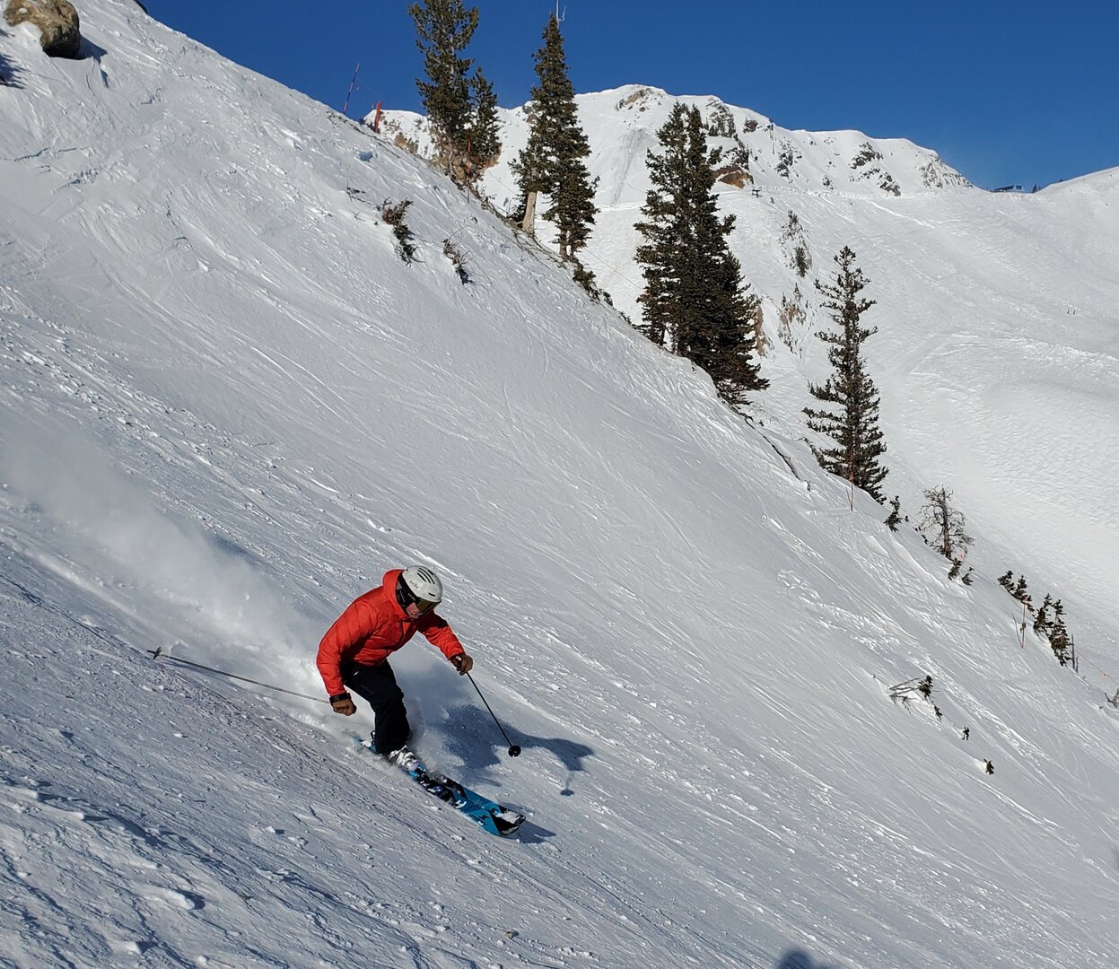 jim f snowbird 15 jan 2026 4ster.jpg