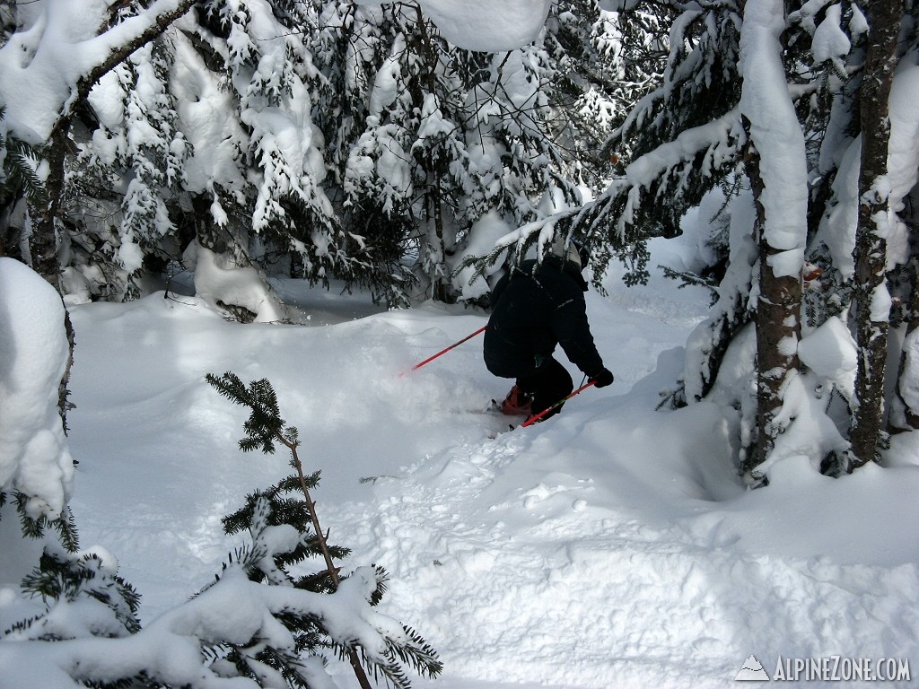 Joe in Chute Glade