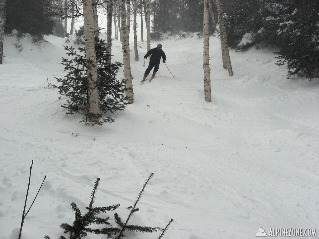 Joe on Lynx