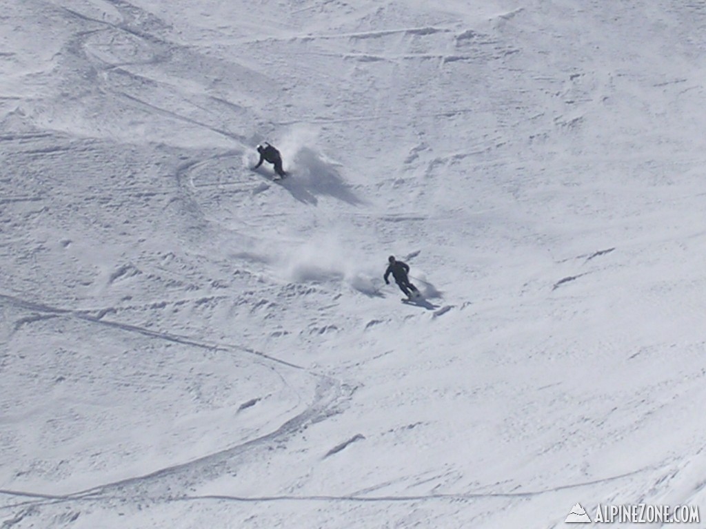 Kashmir Mixed Pow 8s