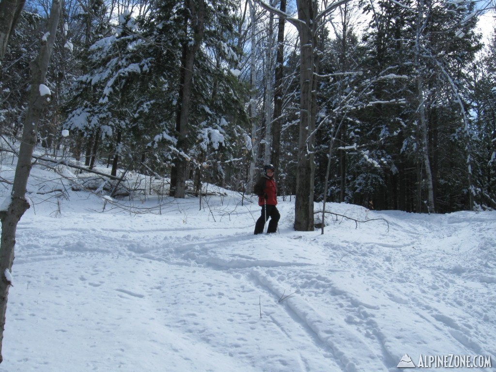 Kevin in the Trees