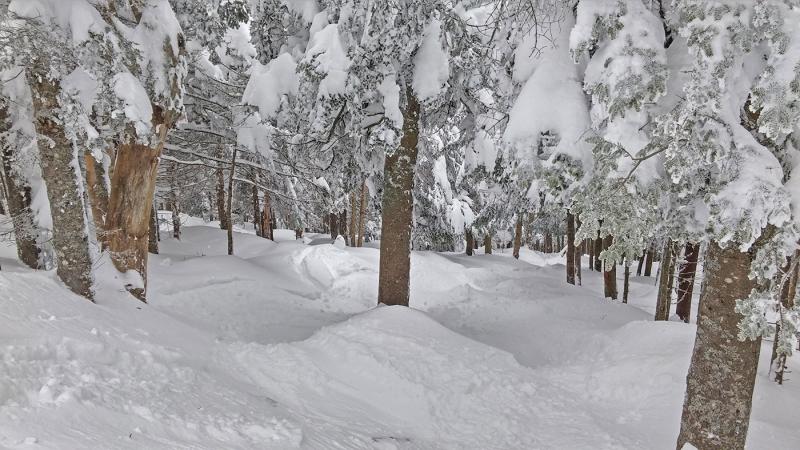 Killington-3-15_02.jpg